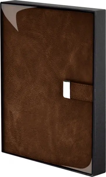 Ежедневник недатированный Шеврет, бронзовый, А5+, 160 листов обложка книги