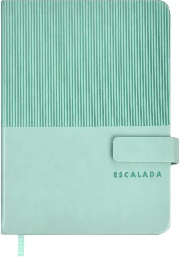Ежедневник недатированный Гоутскин, мятный, А6+, 120 листов обложка книги