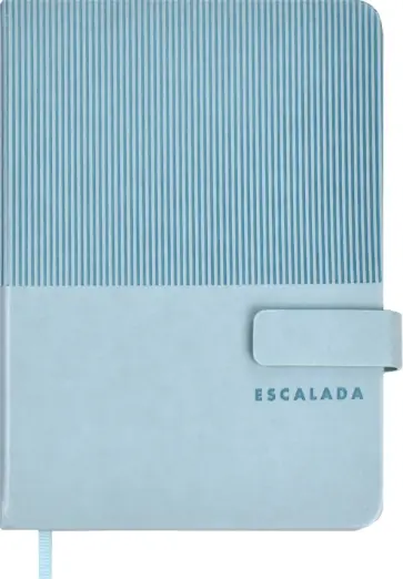 Ежедневник недатированный Гоутскин, голубой, А6+, 120 листов обложка книги