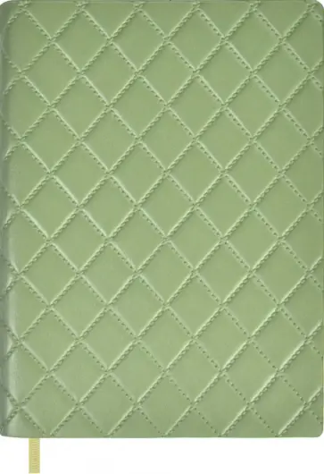 Ежедневник недатированный Стэп, оливковый, А6+, 160 листов обложка книги