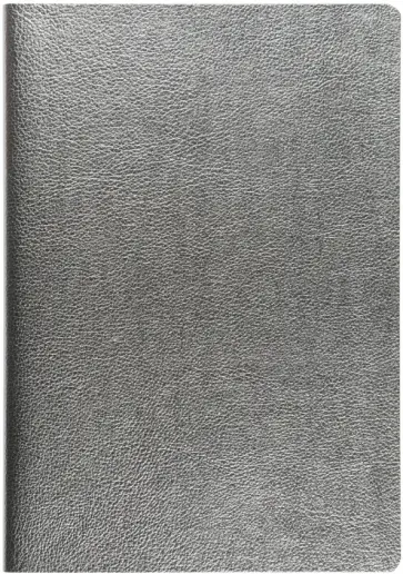 Бизнес-тетрадь Megapolis Flex, серебряная, А5, 60 листов, клетка обложка книги