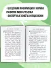 Миниатюра 5