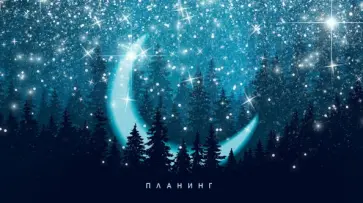 Планинг карманный недатированный Moonlight, 64 листа обложка книги