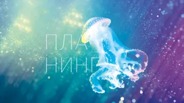 Планинг карманный недатированный Подводный мир, 64 листа обложка книги