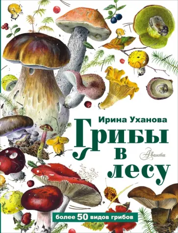 Ирина Уханова - Грибы в лесу обложка книги