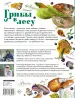 Миниатюра 2
