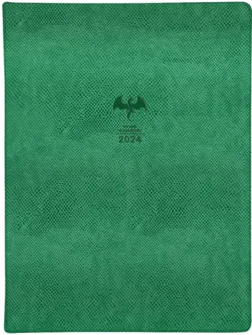 Еженедельник датированный на 2024 год Dragon, зеленый, 88 листов обложка книги
