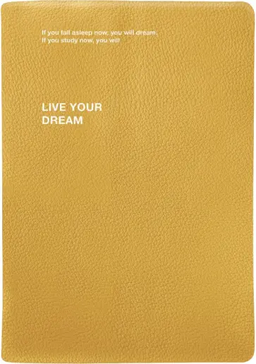 Ежедневник датированный на 2024 год Dream, желтый, А5, 176 листов обложка книги