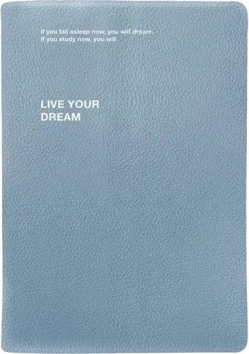 Ежедневник датированный на 2024 год Dream, голубой, А5, 176 листов обложка книги