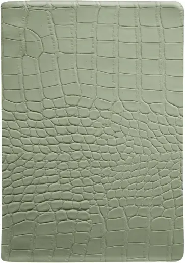 Ежедневник датированный на 2024 год Reptile, зеленый, А5, 176 листов обложка книги