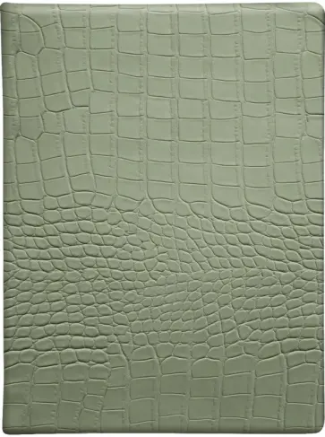 Еженедельник датированный на 2024 год Reptile, зеленый, 88 листов обложка книги