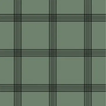 Бумага упаковочная Tweed, клетка обложка книги