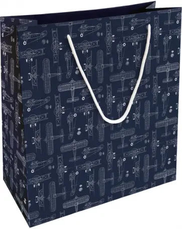 Пакет подарочный Brave, самолеты обложка книги