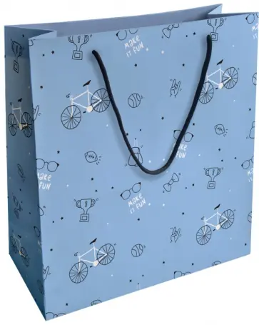 Пакет подарочный Skate, голубой обложка книги