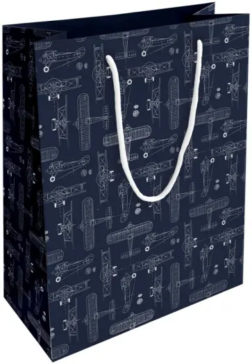 Пакет подарочный Brave, самолеты обложка книги