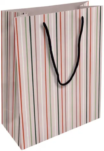Пакет подарочный Pretty, полоски обложка книги
