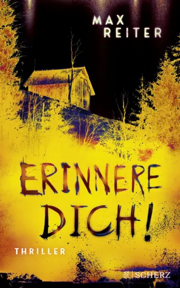 Max Reiter - Erinnere dich! Max Reiter - Erinnere dich! обложка книги