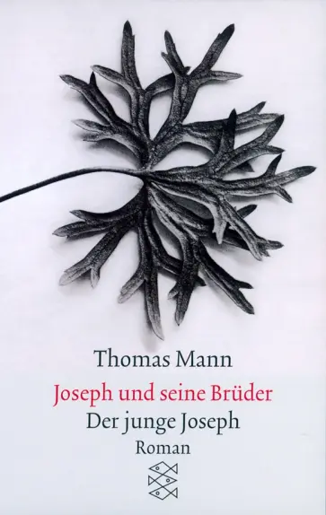 Thomas Mann - Der junge Joseph обложка книги