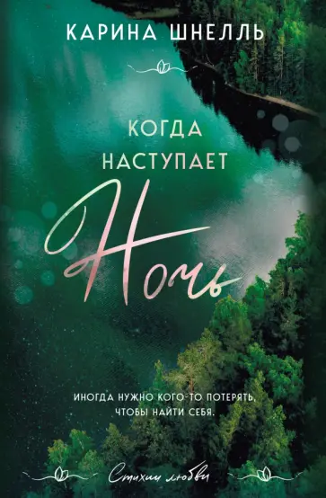 Карина Шнелль - Когда наступает ночь обложка книги