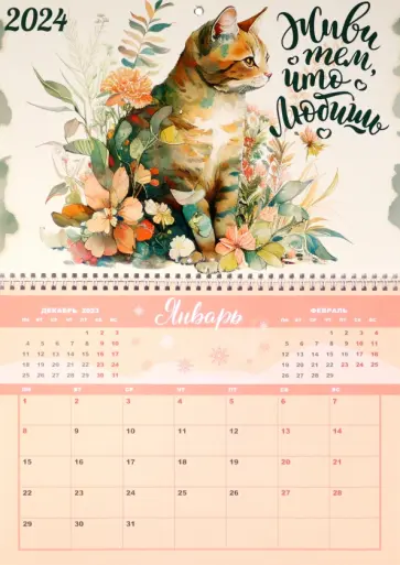 Календарь настенный отрывной на 2024 год Кот обложка книги