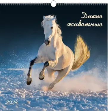 Календарь настенный на 2024 год В мире дикой природы Календарь настенный на 2024 год В мире дикой природы обложка книги