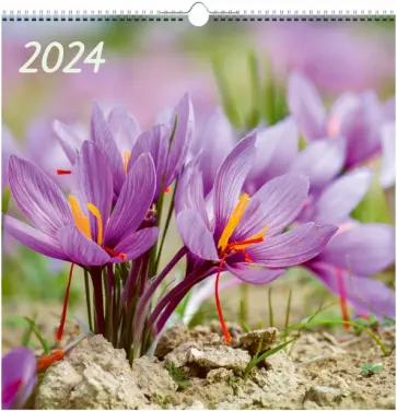 Календарь настенный на 2024 год Цветы 7 Календарь настенный на 2024 год Цветы 7 обложка книги