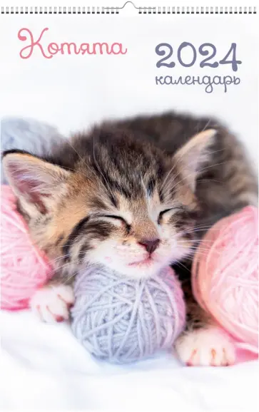 Календарь настенный на 2024 год Домашние любимцы Календарь настенный на 2024 год Домашние любимцы обложка книги