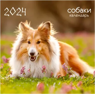 Календарь настенный на 2024 год Домашние любимцы Календарь настенный на 2024 год Домашние любимцы обложка книги