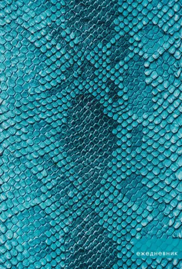 Еженедельник недатированный Blue, 64 листа, А5 обложка книги