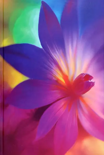 Книга для записей Вдохновение! 80 листов, А5, клетка обложка книги