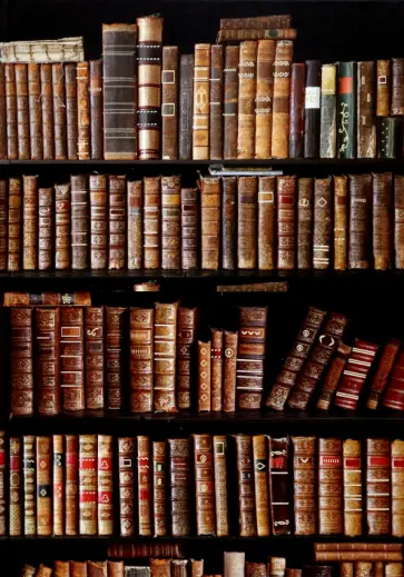 Книга для записей Библиотека, 200 листов, А4, клетка обложка книги