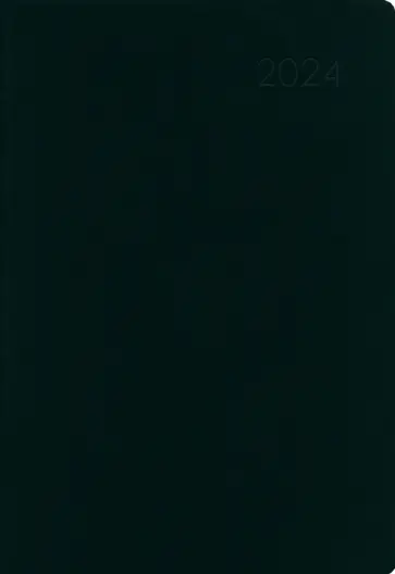 Ежедневник датированный на 2024 год Paragraph. Черный, 176 листов, А5 обложка книги