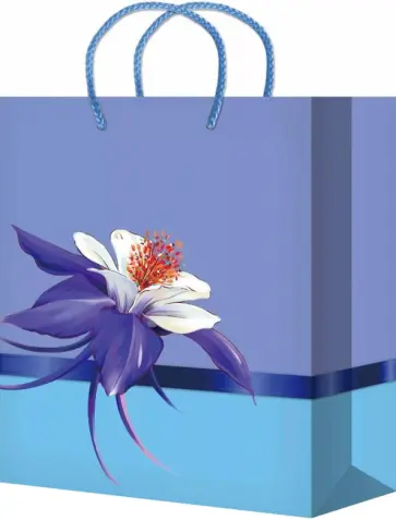 Пакет подарочный ламинированный обложка книги