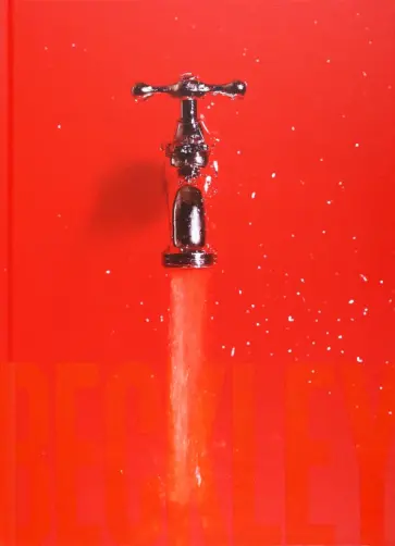 Bill Beckley and Narrative Art. The Word-Image Riddle and the Aesthetics of Beauty обложка книги