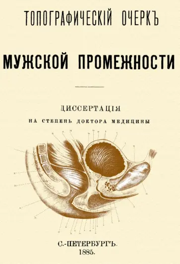 Эраст Салищев - Топографический очерк мужской промежности Эраст Салищев - Топографический очерк мужской промежности обложка книги