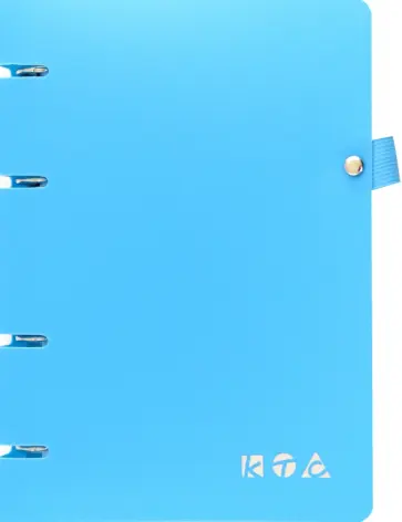 Тетрадь на кольцах Голубой, 80 листов, А5, клетка обложка книги