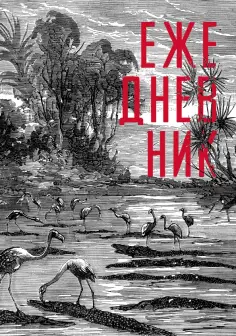 Ежедневники недатированные