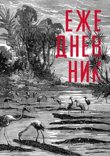 Ежедневник недатированный Парк фламинго, 128 листов, А5 обложка книги