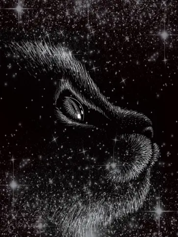 Книга для записей Котик, 80 листов, А6, клетка обложка книги