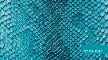 Планинг карманный недатированный Blue, 64 листа обложка книги