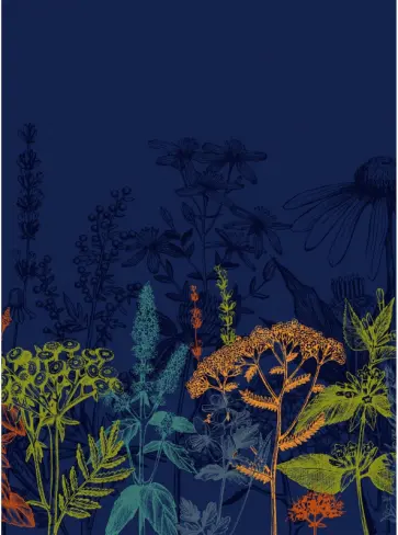 Тетрадь для конспектов Гербарий, 96 листов, А4, клетка обложка книги