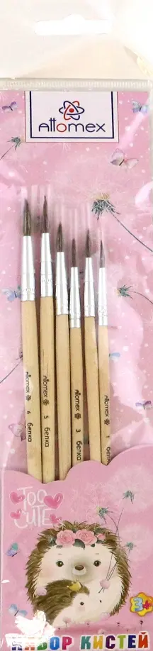 Набор кистей Ёжик, белка, 6 шт Набор кистей Ёжик, белка, 6 шт обложка книги