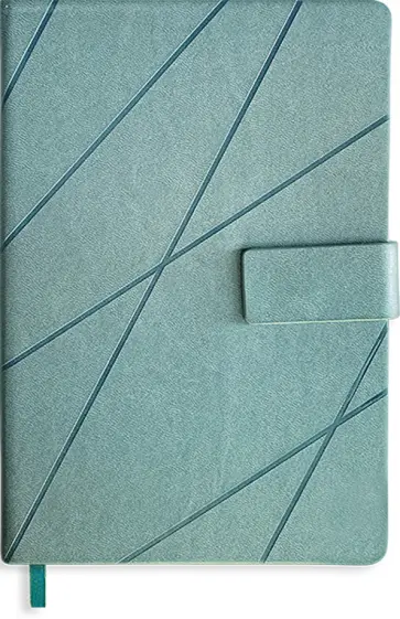 Ежедневник недатированный Лиль, серый, А5, 144 листа обложка книги