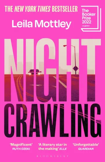 Leila Mottley - Nightcrawling Leila Mottley - Nightcrawling обложка книги