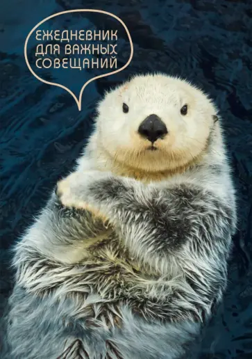 Ежедневник недатированный Серьезный ежедневник, А5, 128 листов Ежедневник недатированный Серьезный ежедневник, А5, 128 листов обложка книги