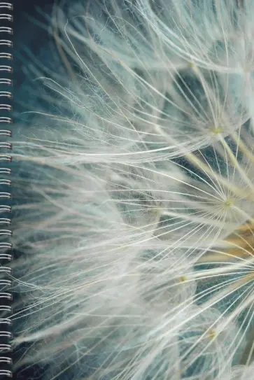 Тетрадь Макросъемка, А5, 80 листов, линия обложка книги