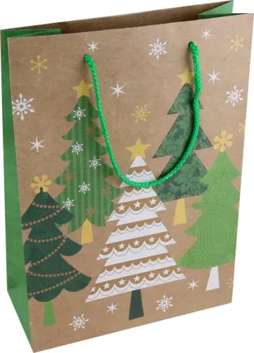 Пакет новогодний ламинированный, крафтовый обложка книги