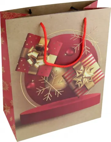 Пакет новогодний ламинированный, крафтовый обложка книги