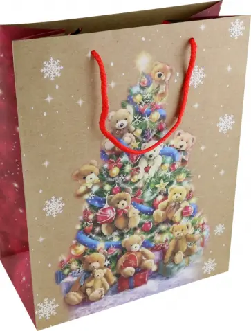 Пакет новогодний ламинированный, крафтовый обложка книги