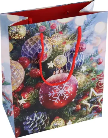 Пакет новогодний ламинированный обложка книги